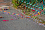 Divozenki - performance