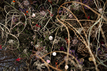 Efflorescence - site specific installation